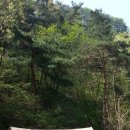 곡성-233 네이버블로그