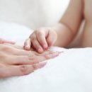 수원-0019 이미지