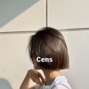 센스(Cens)