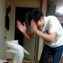 영식당 | 헤비 영식 후기