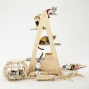 브리티쉬숏헤어 캐터리 이미지