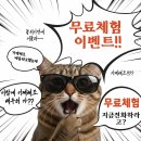 드림앤