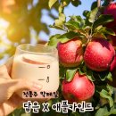 담은 X 애플카인드 사과막걸리 키트 전통주 칵테일 레시피 후기