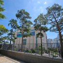 상계뉴타운롯데캐슬공인중개사사무소 | [공지] 성북구 롯데캐슬클라시아 일시적2주택의 종전주택 처분기한 3년으로 연장. 양도세,취득세,종부세...