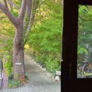 만디 | [부산 카페] 카페 만디 방문 후기 :)