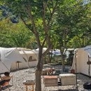 숲스토리야영장 이미지