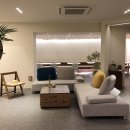 온어데일리 이미지