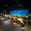 이유사이언스 | 대전 아쿠아리움 사이언스 나이트캠프 특가 공구