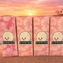 코리아세븐일레븐 강서화곡로점 | <화곡 전자담배 베가코리아 화곡점> 깔끔한 맛과 부드러운 목넘김에 귀여운 비숑까지?! 모코 하와이