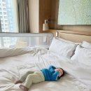 54 | 칭다오 웨스틴 호텔 후기 스위트룸 54광장 뷰 아기랑 호캉스 추천