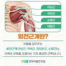 대치경희한의원 이미지