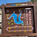 성주호 둘레길 성주호길 코스 | 성주호 전망대