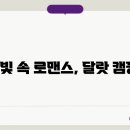 별빛하루 이미지
