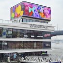 11260-1-21-7 | [26년 4월] 한강버스로 21분컷 망원-여의도 선착장에 가서 벚꽃놀이 후기 (ft. 망원동 현지인)