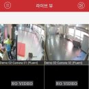 폴레이폴댄스