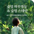 멍하루 이미지