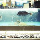 광동수산 이미지