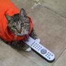 파리바게뜨 서정점 이미지