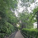 3.1운동 기념비 | [삼일공원] 서울 동작구 산책할만한 테마 공원