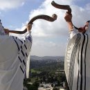 나눔인터내셔널 이미지