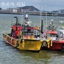유로파피싱