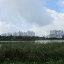 배다리공원 이미지