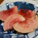 환규네과수원 이미지