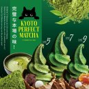 박리다몰 | 잠실 롯데월드몰 맛집 디저트 교토퍼펙트말차 후기
