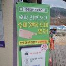 라푼젤키즈풀빌라 | 아이와 가성비 좋은 가평키즈펜션 라푼젤키즈풀빌라 내돈내산 후기
