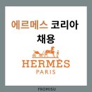 인피니언테크놀로지스코리아(유) 노동조 | 에르메스 코리아 채용 - 회계 재무 AP Accountant