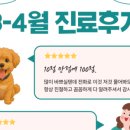 누리종합동물병원 이미지