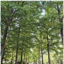 금터공인중개사 이미지