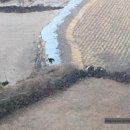 동선2목장 이미지