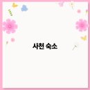 2025년 사천 숙소 추천 최고의 여행 경험을 위한 완벽 가이드