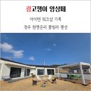 원펜션 | 경주 원앤온리 풀빌라 독채 펜션 아이렌 워크샵 후기