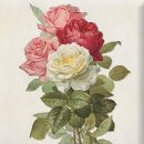 솜씨공방 이미지