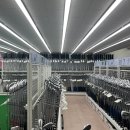 금산골프연습장 이미지