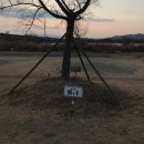 부산오토 | 부산캠핑장 화명오토 당일 이용 후기 꿀팁은