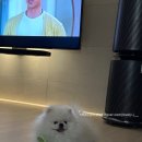 (주)써밋컴퍼니 이미지