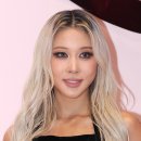 다영화장품