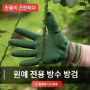 화원정 이미지
