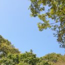 수덕사 진입로 네이버블로그