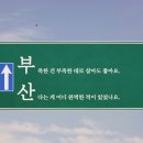 아임빈 이미지