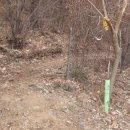 산막이옛길 주차장 이미지