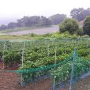 보은농장 이미지