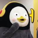 놀스365 이미지