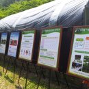 치악농장 이미지