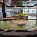 현대웰빙랜드 이미지