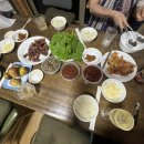 달이사케