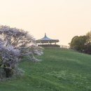 아름드리목장 이미지